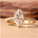 Alyssa - alternate view